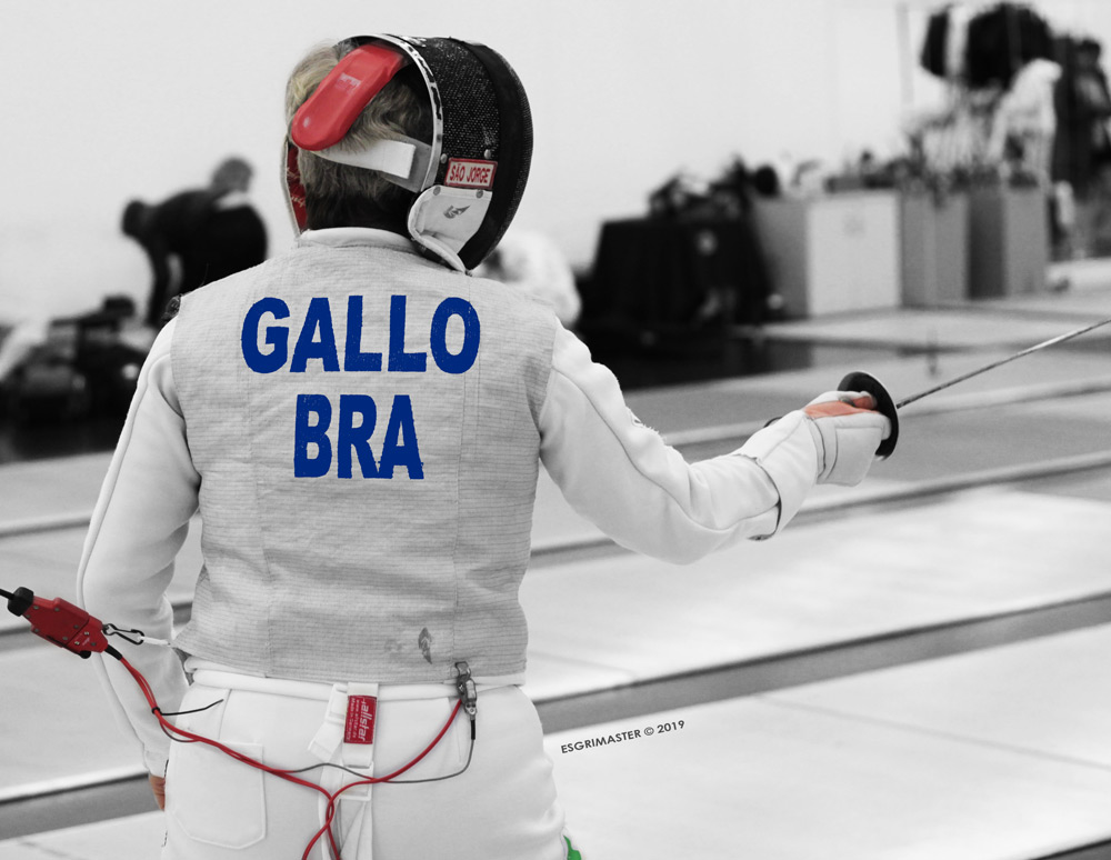GALLO_FOIL.jpg
